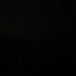 Meet your Posher, Liz